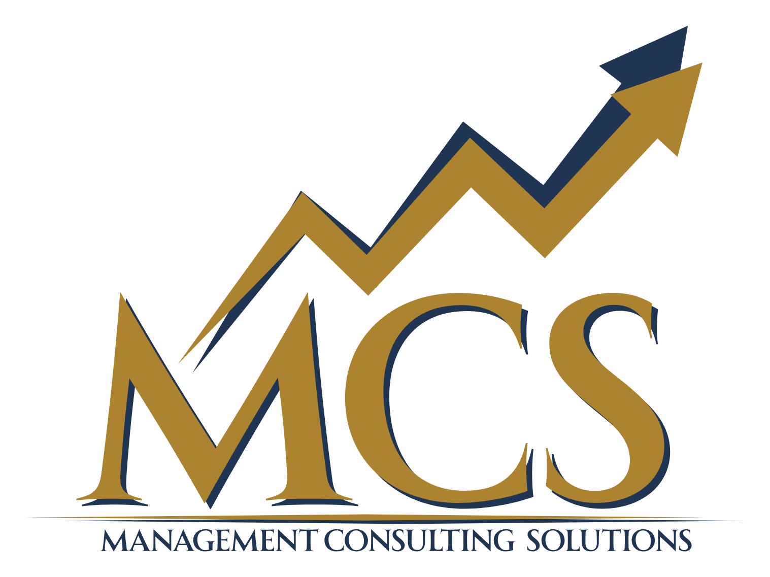 Management Consulting Solutions SRL – Evaluator ANEVAR Constanța
